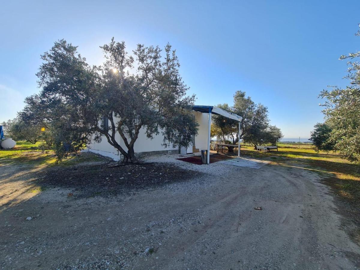 Spacious Studio In Yeroskipou Koloni Exterior photo